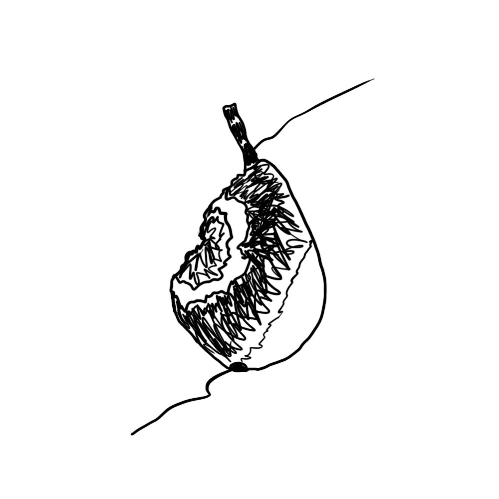 uma fruta podre, com o centro podre cristalizado na lateral esquerda